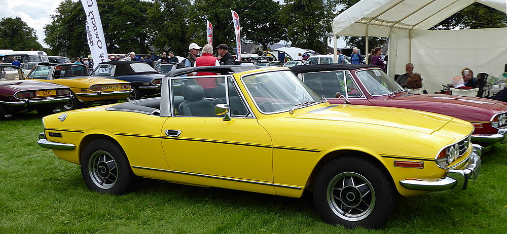 Triumph Stags